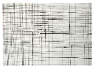 Silvia Bächli - Linien 28