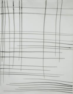 Silvia Bächli - Linien 29