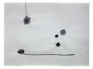 Silvia Bächli - Sans titre