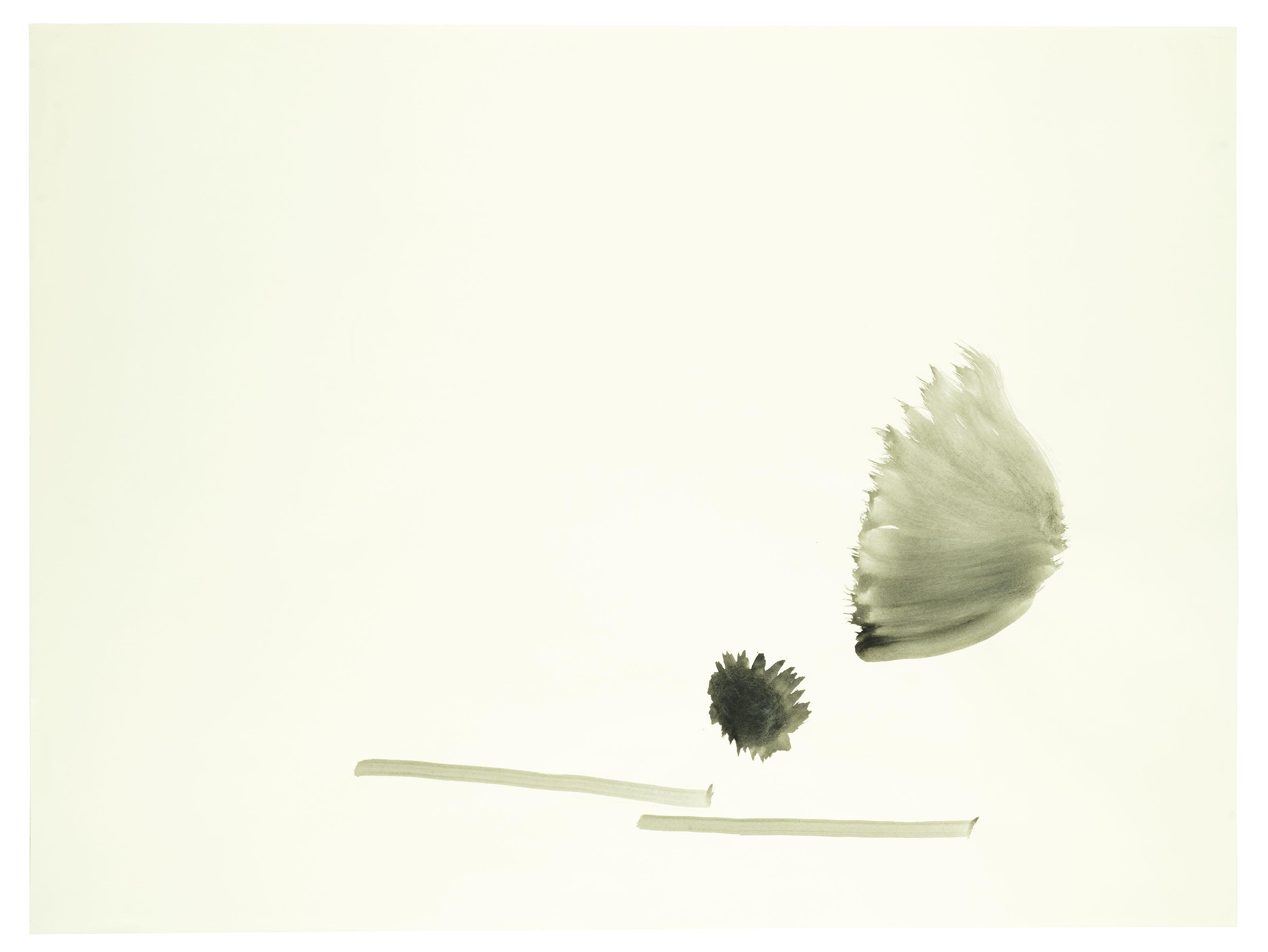 Silvia Bächli - Sans titre