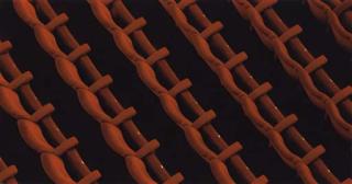 Silvio Wolf - Red screen