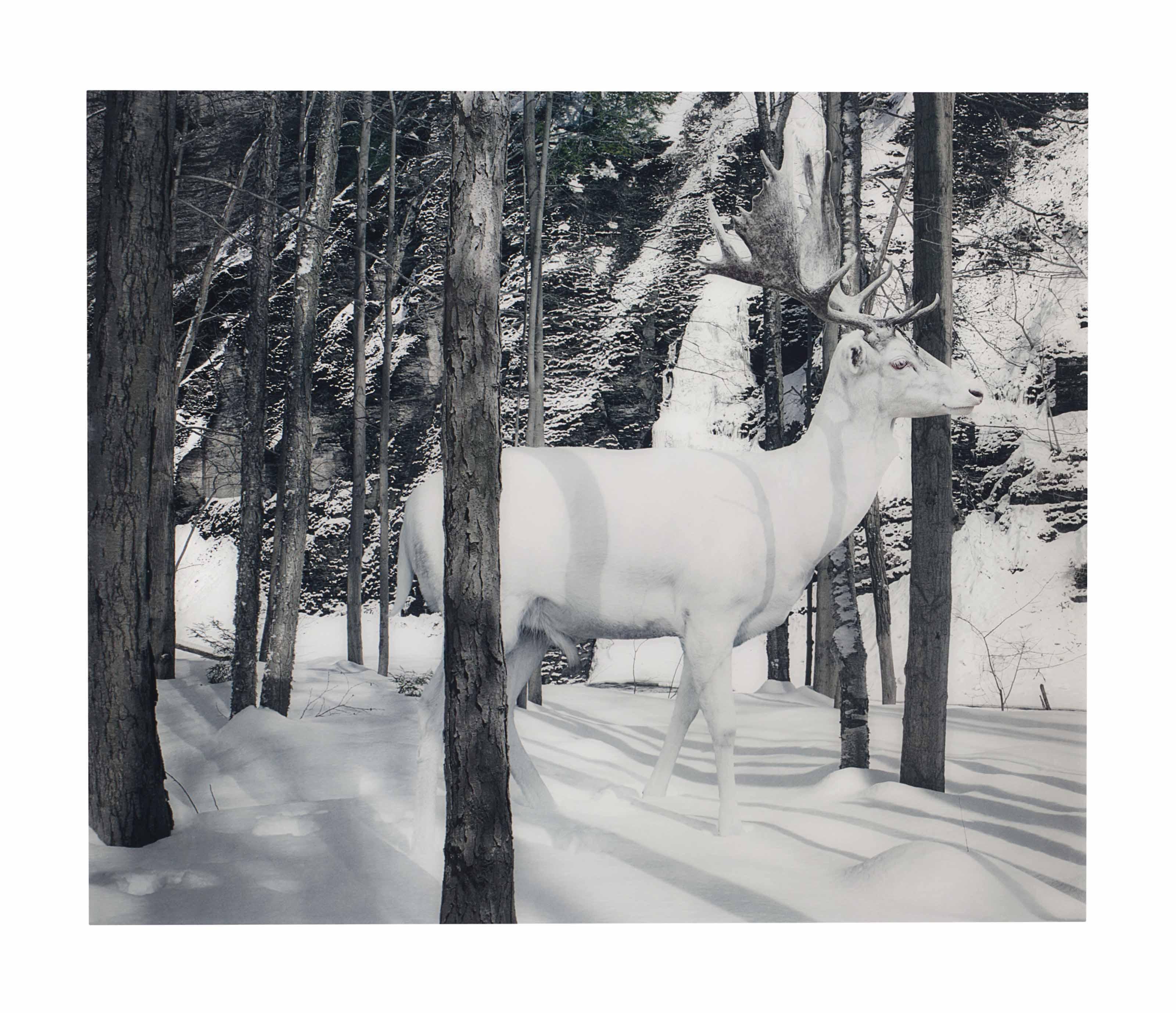 Simen Johan - Untitled #140, from Until the Kingdom Comes, 2007