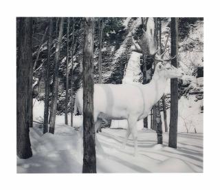 Simen Johan - Untitled #140, from Until the Kingdom Comes, 2007