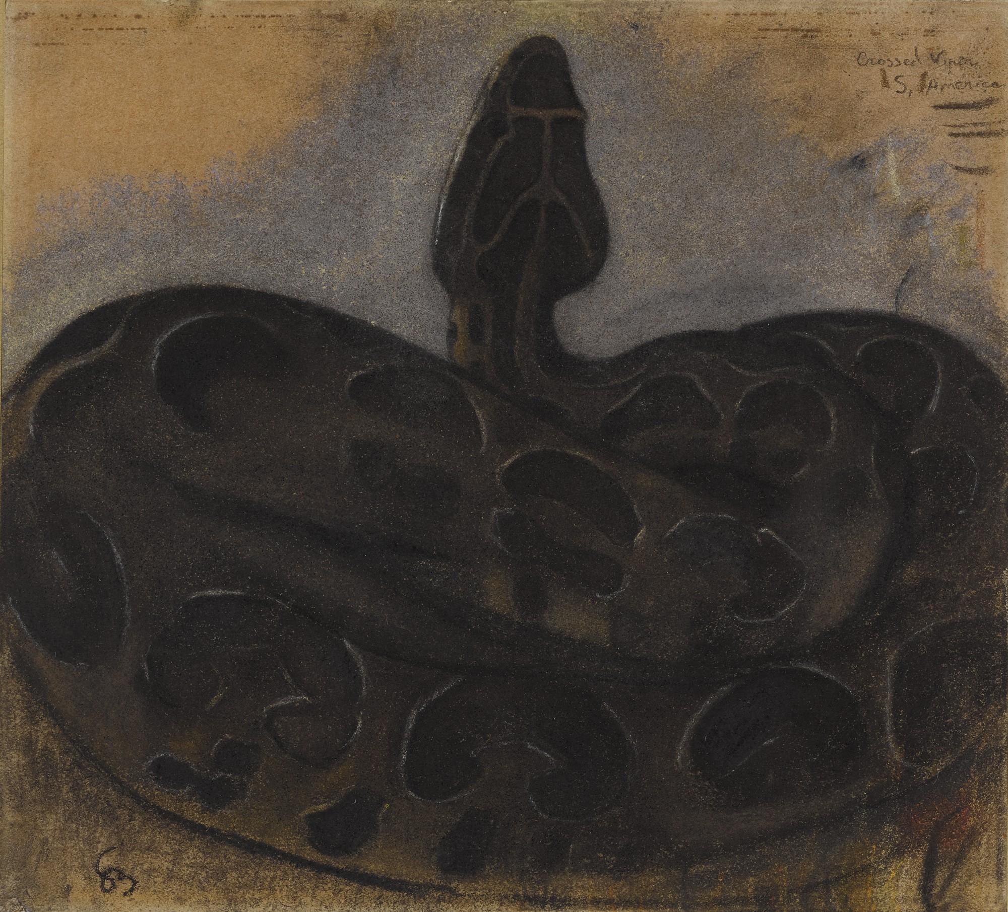 Simon Albert Bussy - Crossed Viper