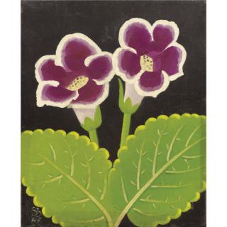 Simon-Albert Bussy - Gloxinia