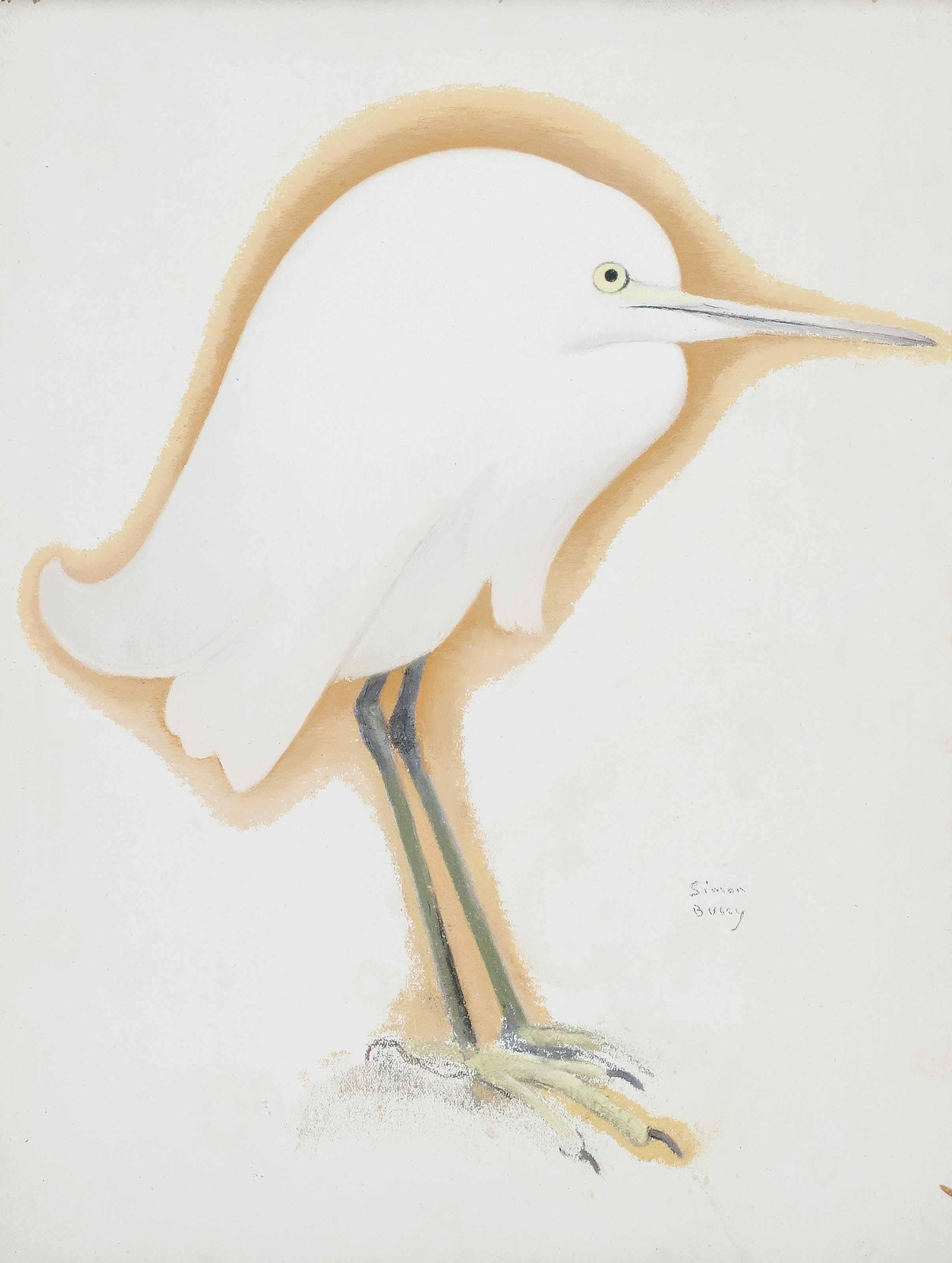 Simon-Albert Bussy - Petite Aigrette