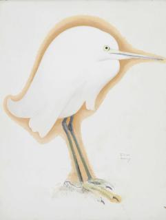 Simon-Albert Bussy - Petite Aigrette