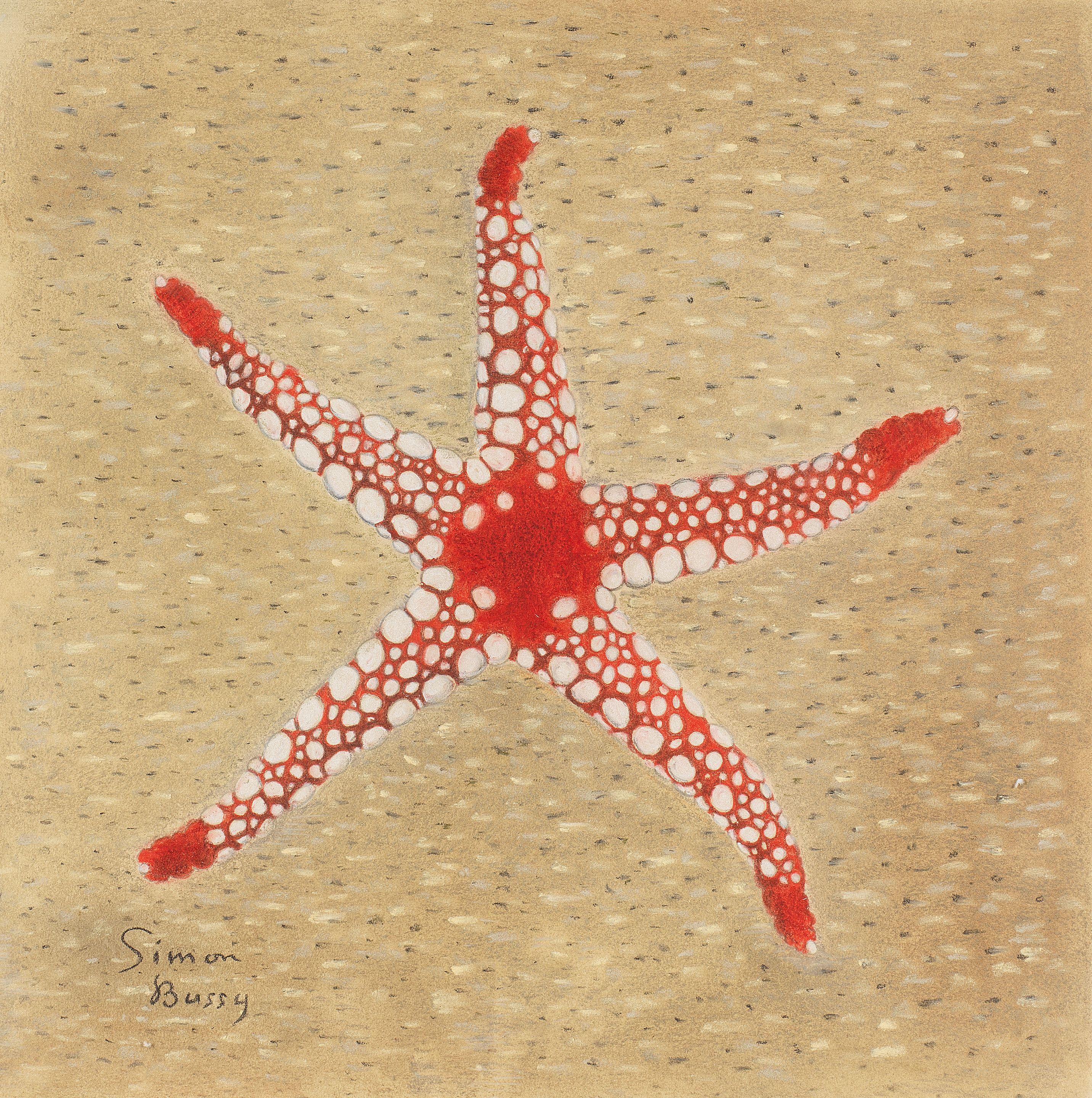 Simon Albert Bussy - Starfish