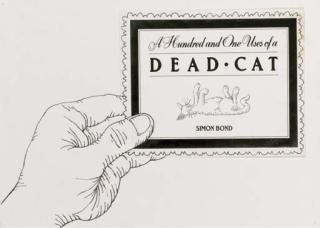 Simon Bond - Title page illustration for A Hundred and One Uses of a Dead Cat