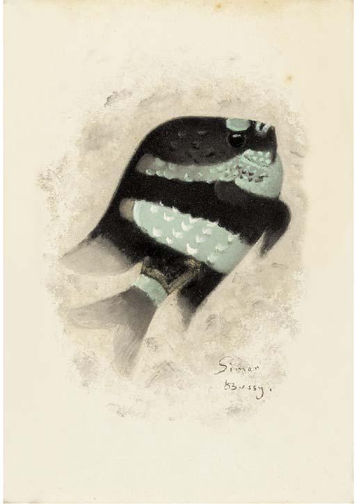 Simon Bussy - Coral Fish