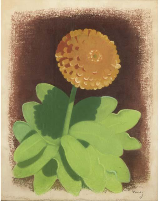 Simon Bussy - Marigold