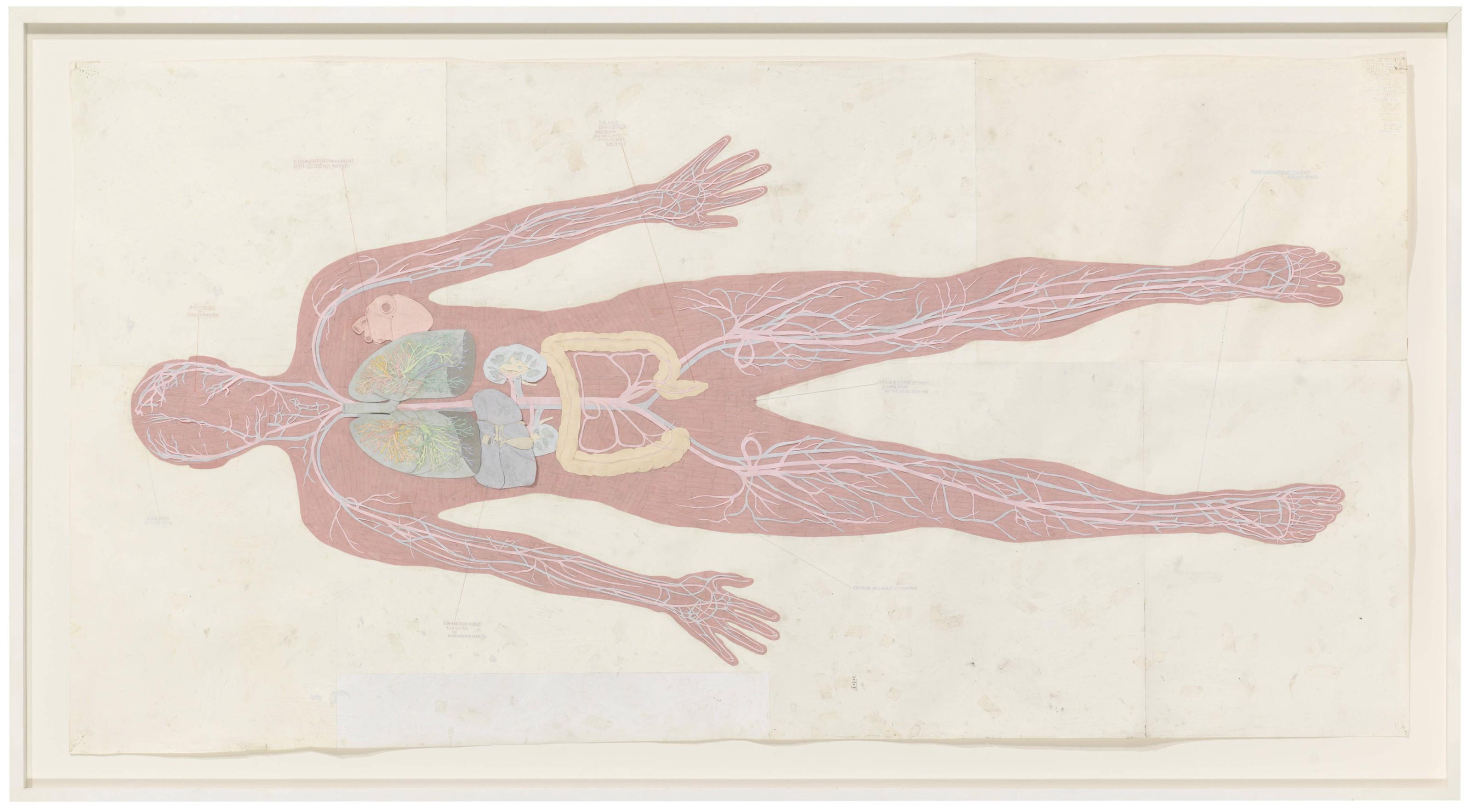 Simon Evans - Diagram of the Human Body
