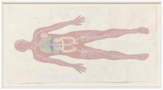 Simon Evans - Diagram of the Human Body