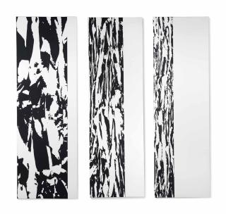 Simon Hantaï - Anamorphoses