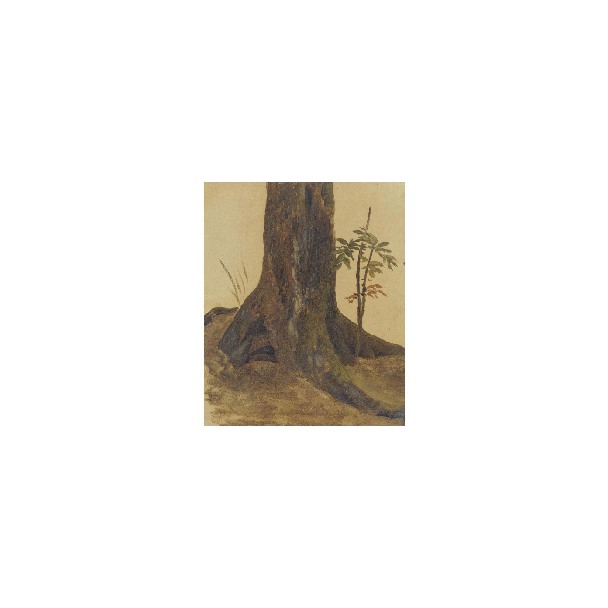 Simon-Joseph-Alexandre-Clément Denis - The Trunk Of A Live Oak