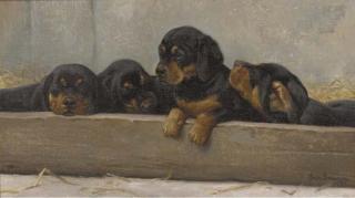 Simon Ludvig Ditlev Simonsen - Puppies