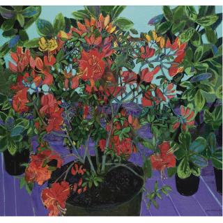 Simon McWilliams, R.U.A. - Azalea