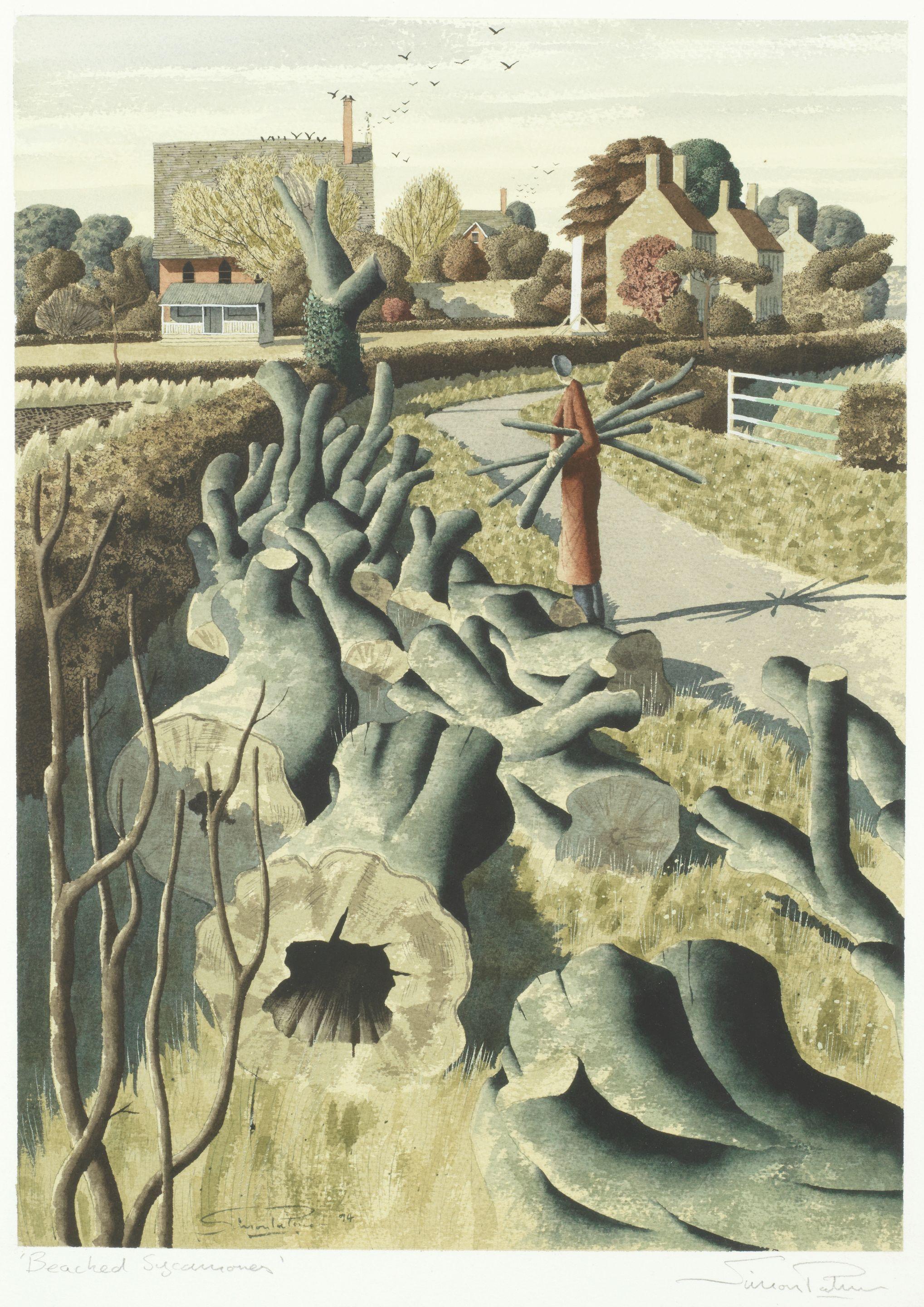 Simon Palmer - Beached Sycamores