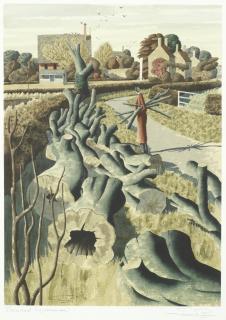 Simon Palmer - Beached Sycamores