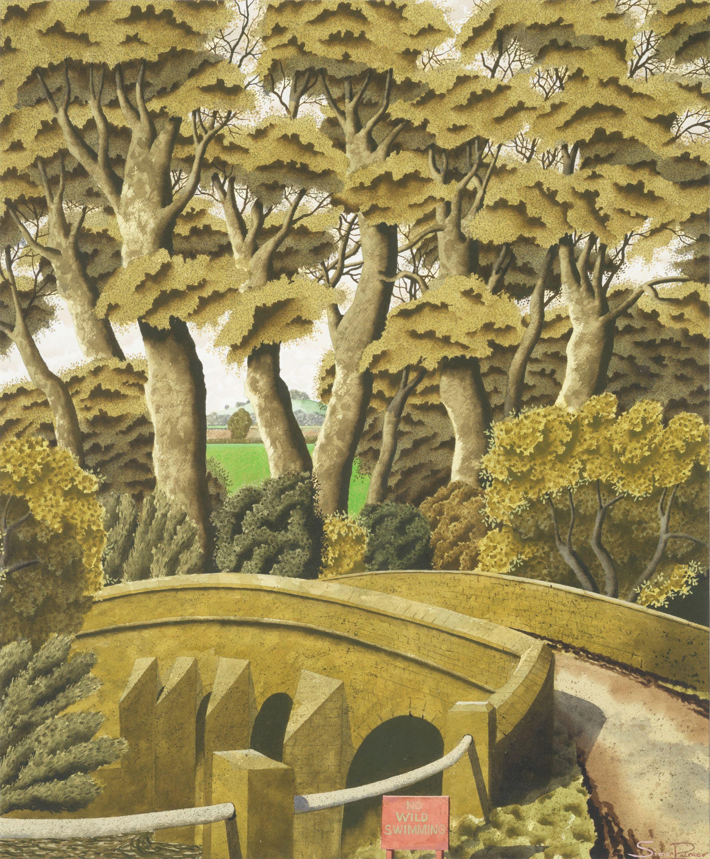 Simon Palmer - No Wild Swimming