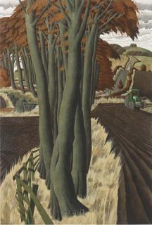 Simon Palmer - The Contractor Man - Tractor - The Tractorman