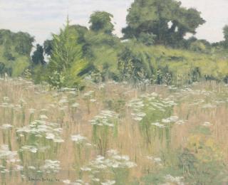Simon Parkes - Grey Day, Queen Anne Lace