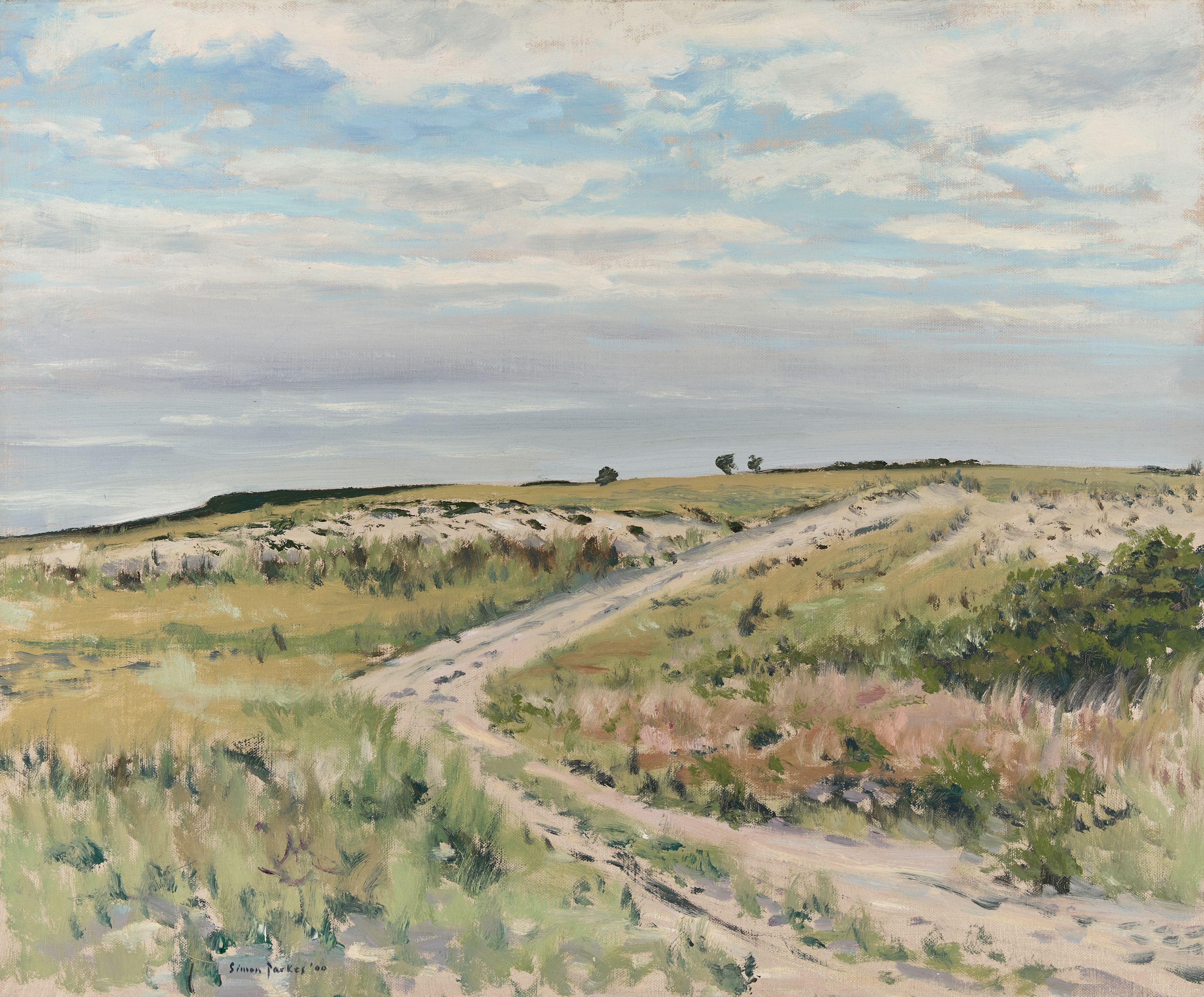 Simon Parkes - The Middle of Hardings Beach