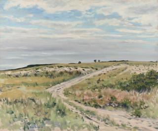 Simon Parkes - The Middle of Hardings Beach