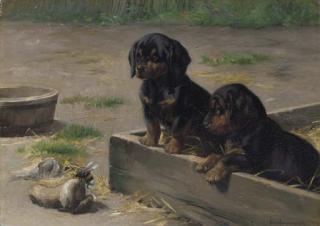 Simon Simonsen - Dachshund puppies with a bumblebee