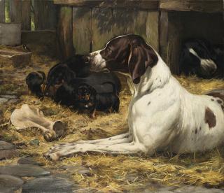 Simon Simonsen - Pointer inglese e bassotti