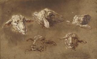 Simon van der Does - Five Studies Of The Head Of A Sheep
