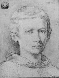 Simone Cantarini - Head of a novice