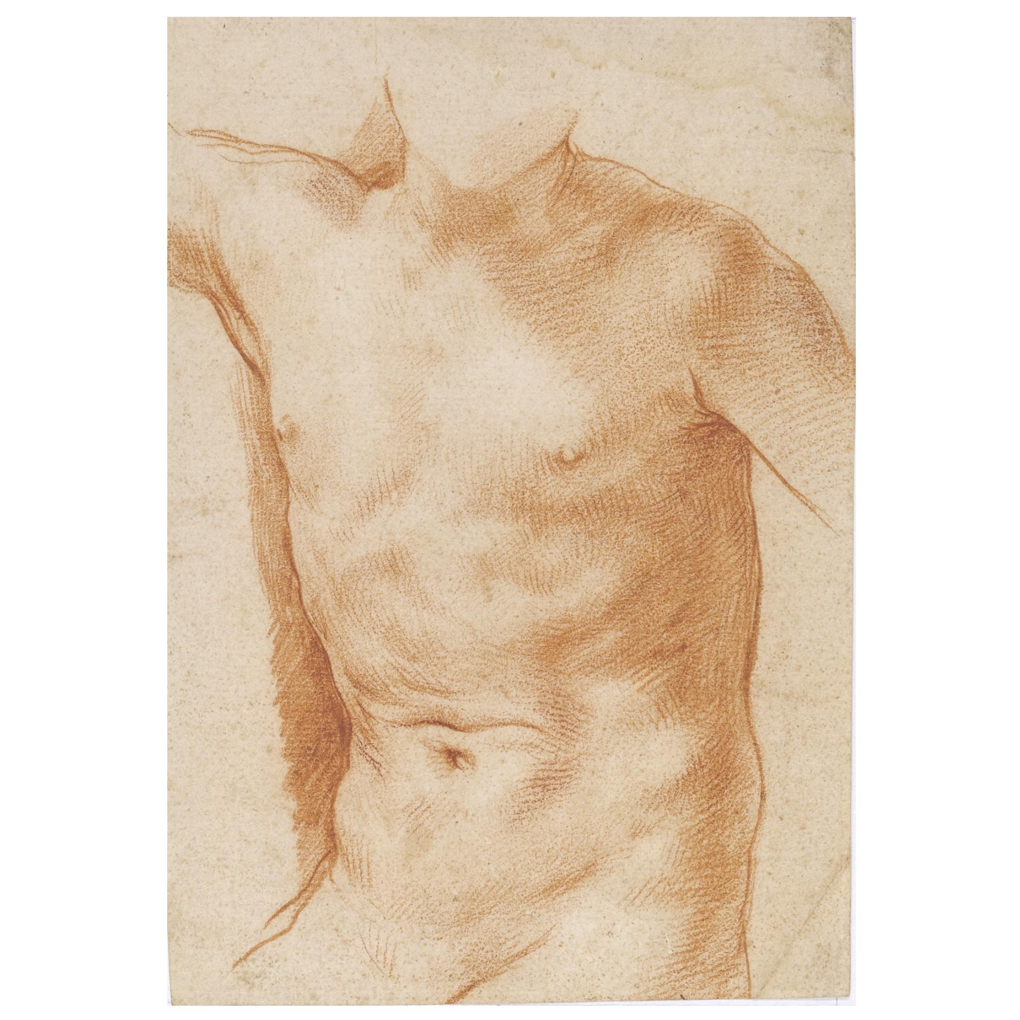 Simone Cantarini - Study Of A Torso