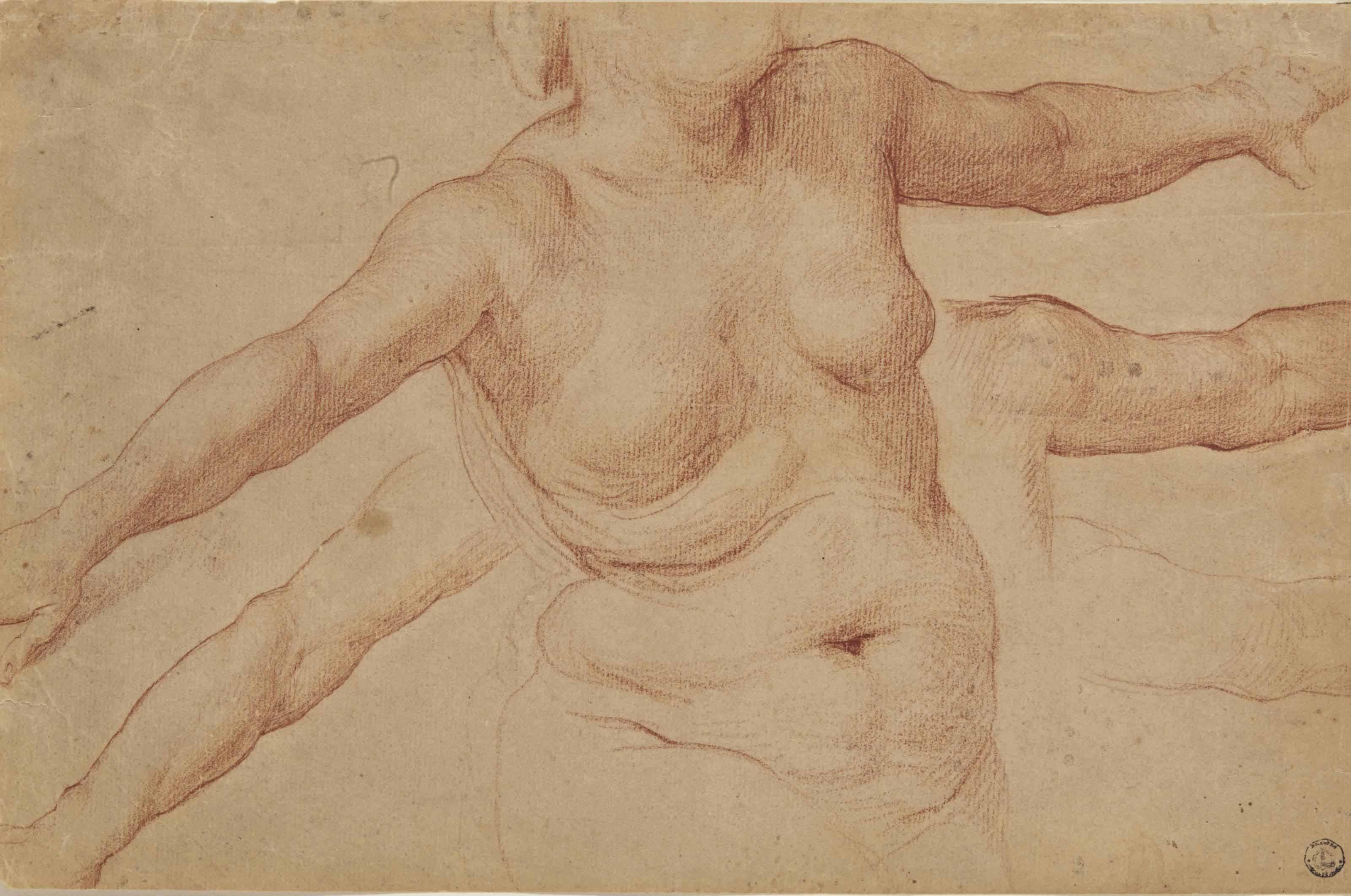 Simone Pignoni - Buste De Femme Nue, Et Études Subsidiaires De Ses Bras