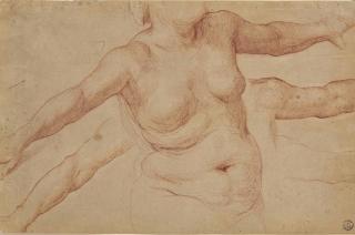 Simone Pignoni - Buste De Femme Nue, Et Études Subsidiaires De Ses Bras