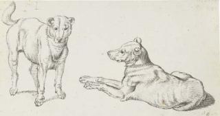 Sinibaldo Scorza - Deux études de chiens, l\'un couché