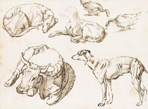 Sinibaldo Scorza - Etudes de trois lévriers, une vache et deux oies