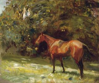 Sir Alfred James Munnings, P.R.A., R.W.S. - A Bay Mare in a Paddock