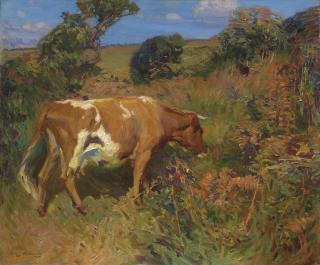 Sir Alfred James Munnings, P.R.A., R.W.S. - A cow in a landscape