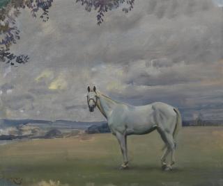 Sir Alfred James Munnings, P.R.A., R.W.S. - A Grey Hunter in an Extensive Landscape (recto); A Study for an Extensive Landscape (verso)