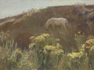 Sir Alfred James Munnings, P.R.A., R.W.S. - Sunshine and Yellow