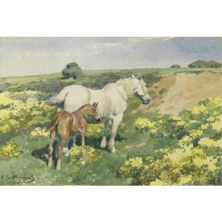 Sir Alfred James Munnings, P.R.A. - A Mare With Her Foal