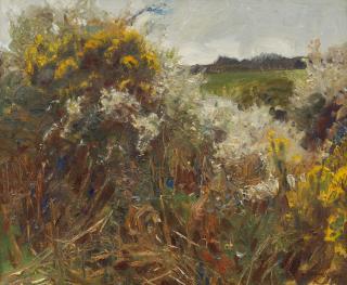 Sir Alfred James Munnings, PRA, RWS - Gorse and grass