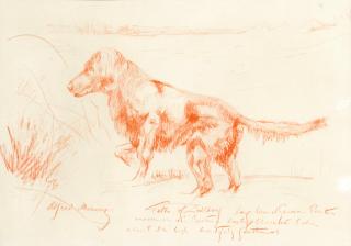 Sir Alfred James Munnings, PRA, RWS - Portrait of a long haired german pointer