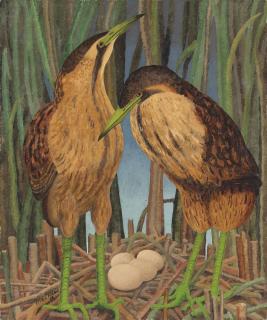 Sir Cedric Morris - Bitterns