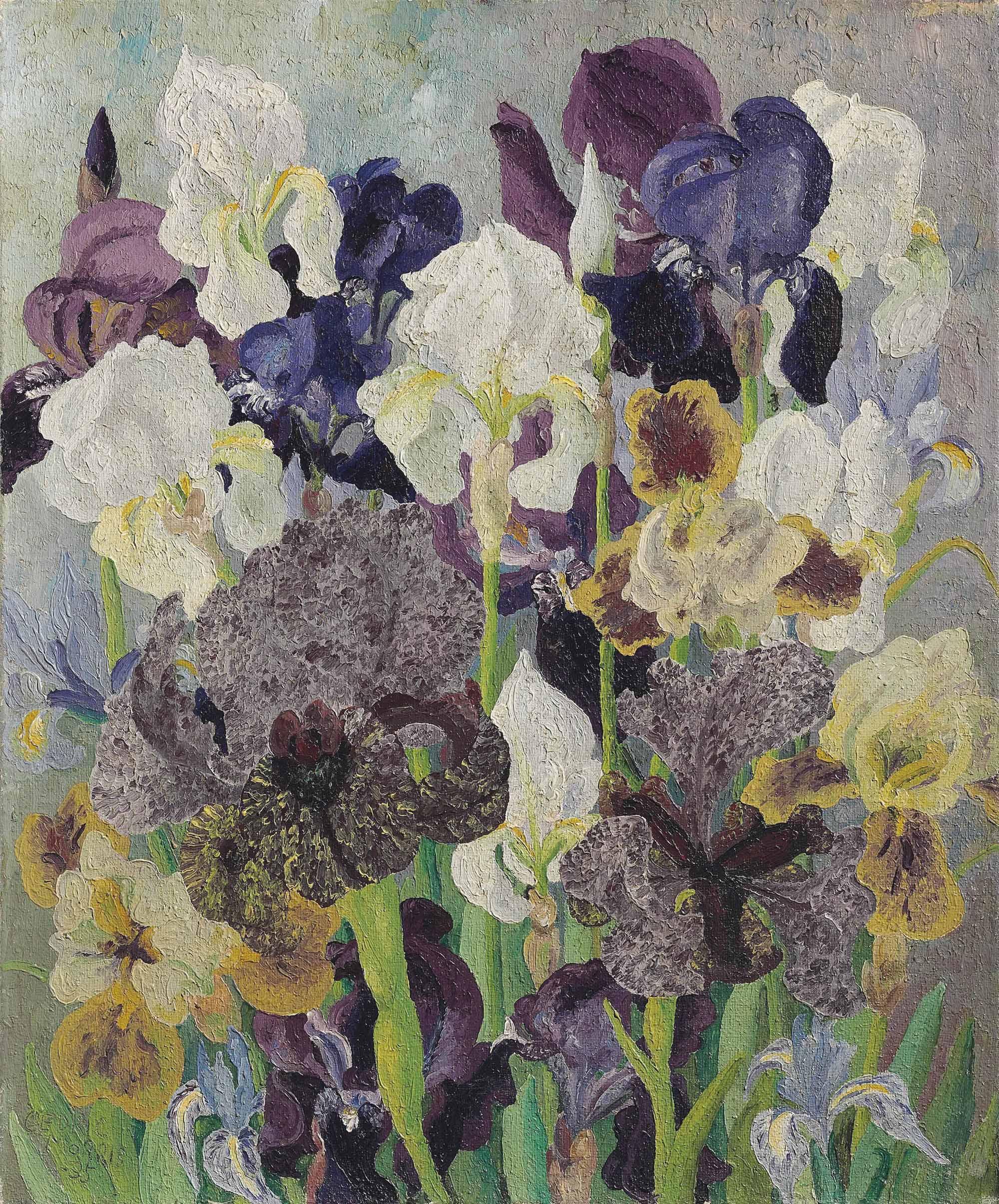 Sir Cedric Morris - May Flowering Irises No. 2