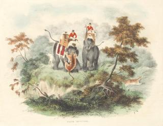 Sir Charles D\'Oyly - \'Leopard Hunting\'; And 4 Other Hunting Scenes Hand-Coloured Lithographs, Laid Down, Window-Mounted, Printed By The Behar Lithographic Press, 1828-1829 20 X 26Cm. (7 7/8 X 10 1/4In.) (5)