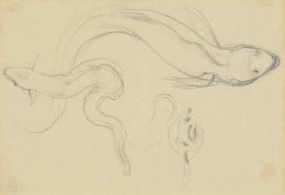 Sir Edward Coley Burne-Jones, Bt., A.R.A., R.W.S. - Study Of Gurnards, Possibly For \'The Sea Nymph\'