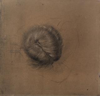 Sir Edward Coley Burne-Jones, Bt., ARA, RWS - Study Of The Top Of The Head And Shoulders Of A Figure From The Briar Wood
