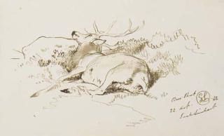 Sir Edwin Henry Landseer, R.A. - A dead Stag, Loch Luichart